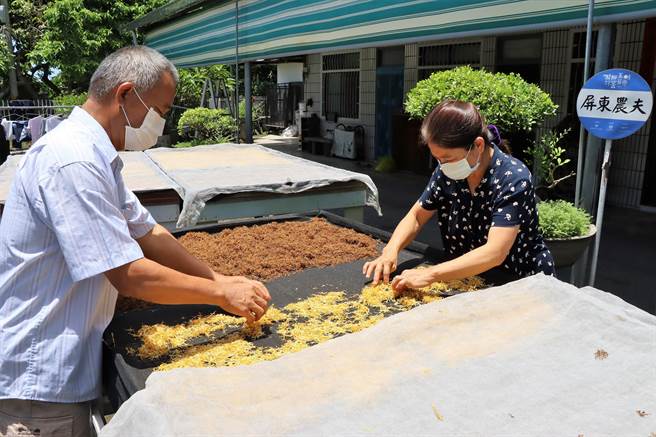 屏东农夫黄颖（右）种金银花闻名，疫情间不少药商找上门谈合作，但他拒绝并不惜成本将花乾燥处理后直接卖给消费者。（谢佳潾摄）