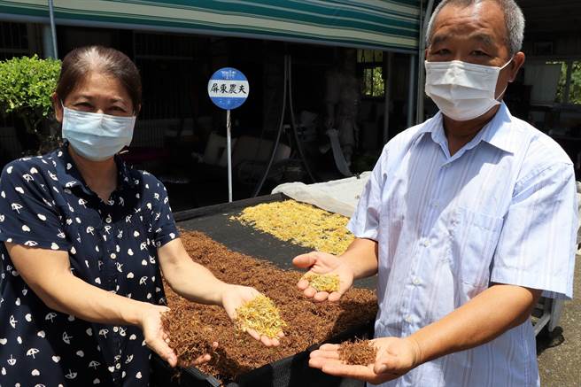 屏东农夫黄颖（右）种金银花闻名，疫情间不少药商找上门谈合作，但他拒绝并不惜成本将花乾燥处理后直接卖给消费者。（谢佳潾摄）