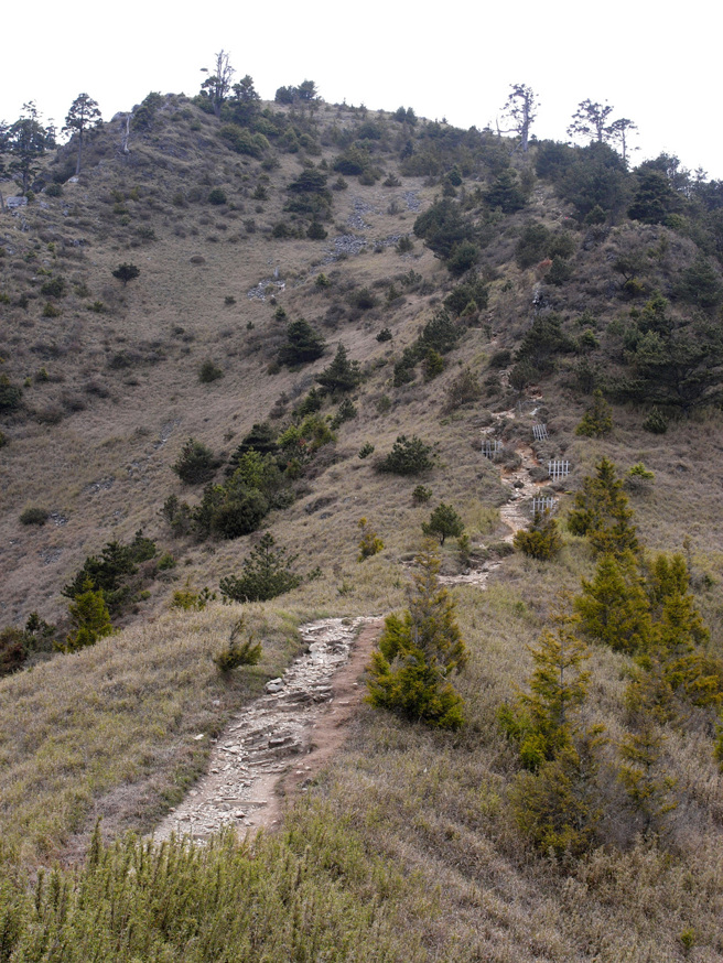 兩家庭一起相約登山，妹夫將女兒「獨留哭坡」遭提告，妹夫發文道歉聲稱「吞安眠藥才能入睡」，他發律師聲明打臉。（示意資料照/劉宗龍攝）