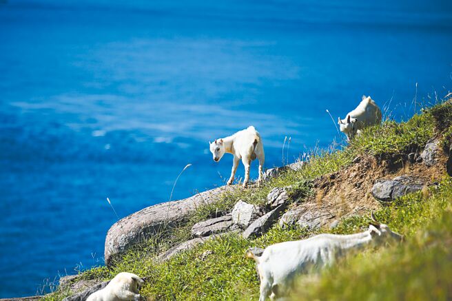比漾广场线上内容百货beyond beyond，本期以「致青春＠澎湖─自由．无畏．做自己」为主题。（比漾广场提供）