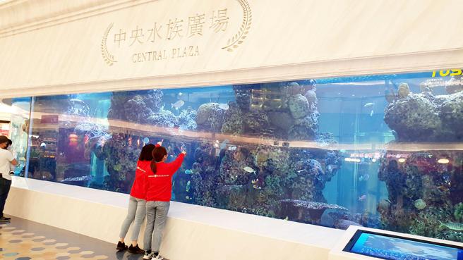 大叶高岛屋暑假期间每日将会定时举行海洋气泡秀，逢周末假日也有两场真人喂鱼秀。（大叶高岛屋提供）