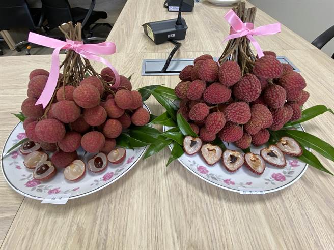 台農5號紅寶石荔枝（右）核籽小、果實飽滿多汁。（廖素慧攝）