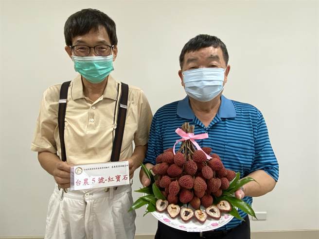 嘉義農試所長陳甘澍（右）、研究員張哲瑋推薦台農5號紅寶石讚。（廖素慧攝）