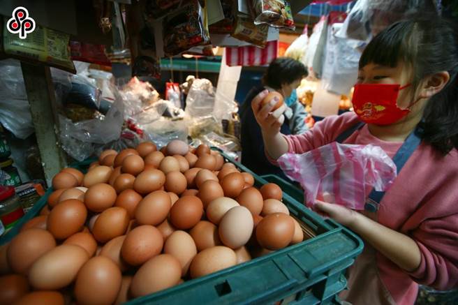 农委会预估8月起受到航运价格下滑，饲料价格可望回落，而玉米价格的反映时间点会最快会落在今年9月以后，有助于纾解畜禽农民成本压力。（报系资料照）