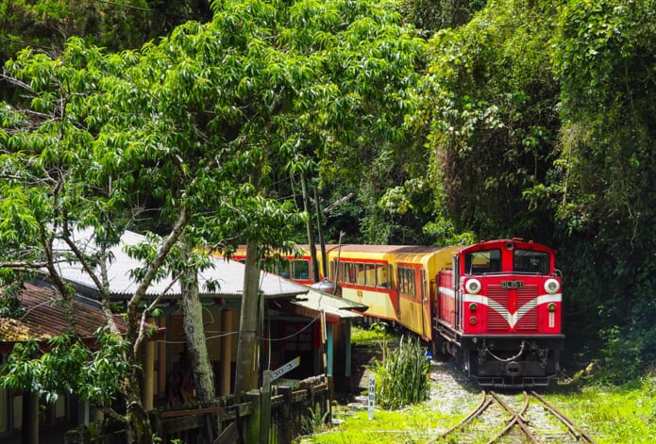 雄狮旅游推出结合私密站点和在地美食的阿里山百年林铁邮轮式列车行程。（雄狮旅游提供）
