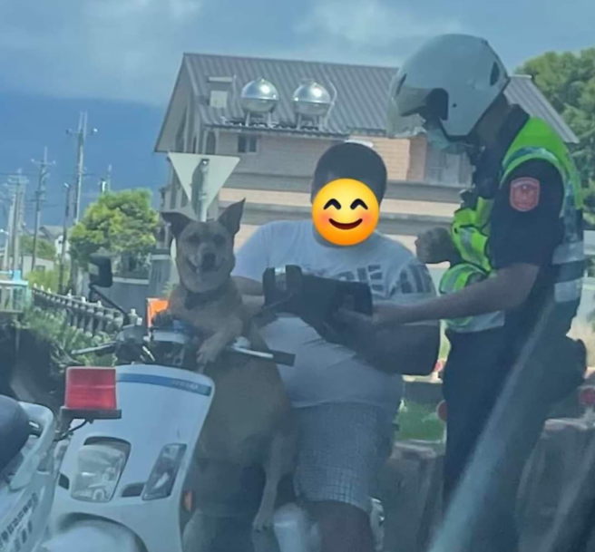 飼主違規被警察開單，坐在前座的小黃狗露出尷尬又不失禮的微笑，瞬間成為眾人目光焦點。（圖翻攝自FB/爆廢公社公開版）