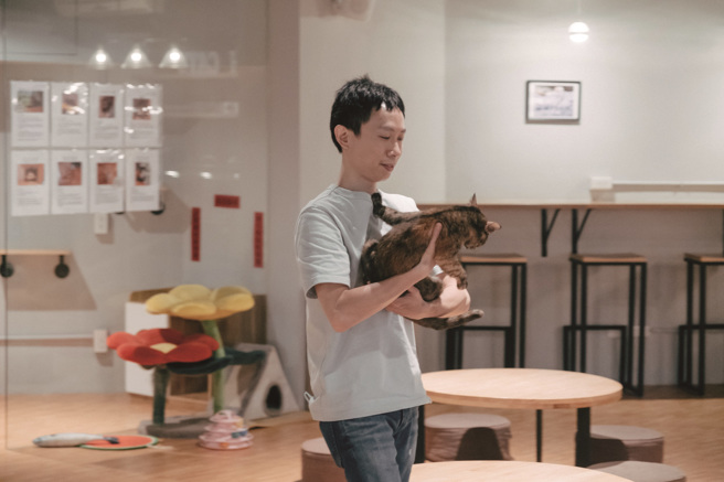 在飼養前了解貓咪習性，能讓養貓之路更順利，開啟與貓共好的幸福生活。（攝影／蔡耀徵）