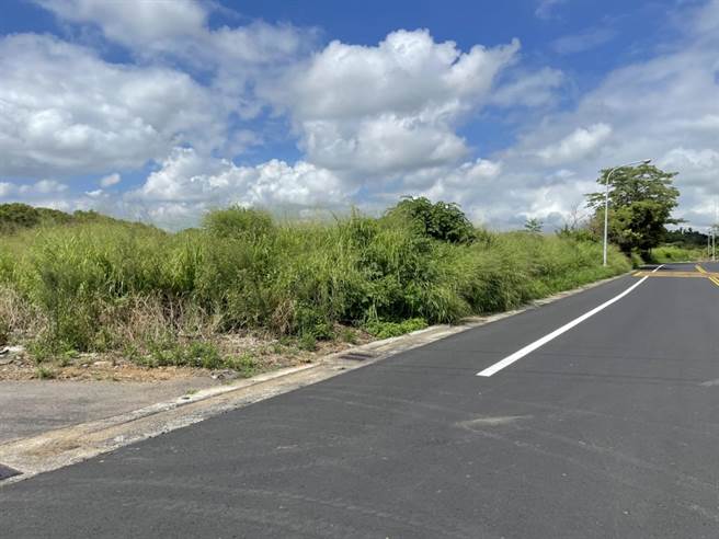 神冈区第三公墓禁葬近40年，却未进行环境改善杂草丛生，影响市容。（陈淑娥摄）