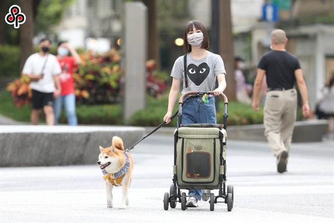 农委会主委陈吉仲今天出席活动时表示，除了会尽速推动1959宠物专线外，也会在2个月内推出动物保护法的宠物专章，包括宠物用品、宠物食品及宠物丧礼等都会纳管。（报系资料照）