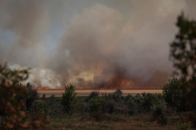 俄乌战争干扰了收成和种植，包括农民为逃避战火而离开、劳动力不足以及被炮击而变得坑坑洞洞的农地，可能严重影响全球食物供应。(图／路透社)
