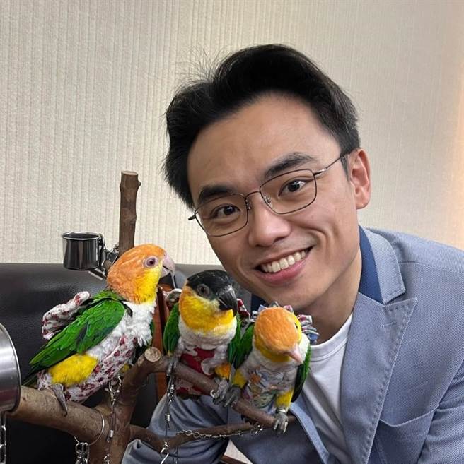 曾扬言不会选新北市长的前交通部长林佳龙，在争取民进党提名参选台北市长无果后，将转战新北市长。国民党立委洪孟楷批评，林在得不到蔡英文总统关爱眼神后，才转向要选新北市长，「到底把400万人口的新北市当什么？」（截自洪孟楷脸书）