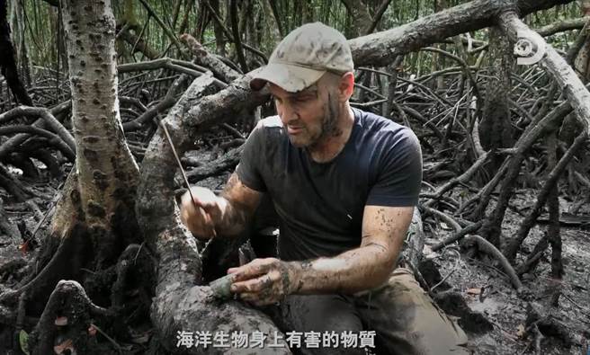Discovery 最受观眾喜爱的求生节目《单挑求生高手 Ed Stafford ： First Man Out》邀集全球顶尖求生专家在最险峻的环境展开生死对决。（Discovery提供）
