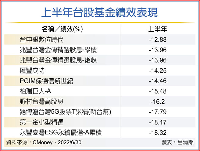 上半年台股基金绩效表现