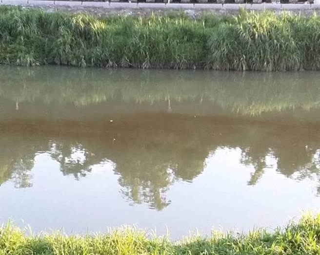 高雄楠梓区后劲溪传出大面积油污污染，水面漂浮大量油渍。（摘自翠屏里陈文治里长办公室）