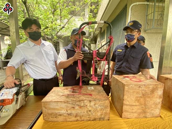 监察委员调查后认为盗伐林木长期存在，时有案件举发、破获，遑论未为人所知遭盗伐者，不知凡几，但相关主管机关并未建立有效防堵机制。（报系资料照）