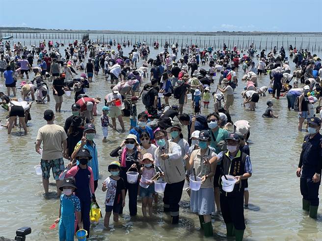 台南市长黄伟哲（前排中米黄夹克者）参加七股海鲜节的摸文蛤活动，踩入体验区与民眾一起同乐。（台南市观旅局提供／程炳璋台南传真）