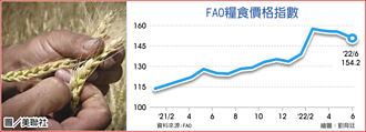 FAO糧價指數連3降 仍處高檔