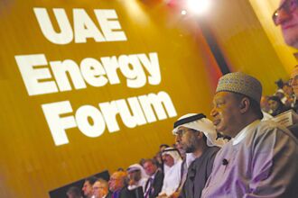阿聯酋開發再生能源