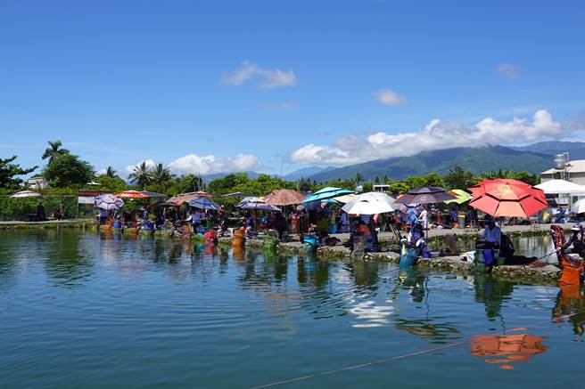 台東縣第2屆全國公益友誼盃池釣公開邀請賽10日熱鬧開釣，全台60位神釣手齊聚一堂。（蔡旻妤攝）