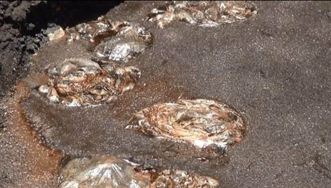 花莲詹姓农友将合法向花莲县政府申请的液态有机肥放置在位在凤林镇的农地中，不过因太阳曝晒，不仅狂冒浓稠泡泡，发酵产出的臭味更让人难以忍受。（民眾提供／罗亦晽花莲传真）