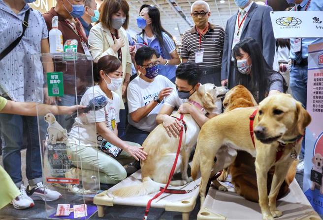 國民黨台北市長參選人蔣萬安（前右2）10日前往南港展覽館參觀台北寵物用品展，並擁抱現場的導盲犬。（圖/ 中央社）
