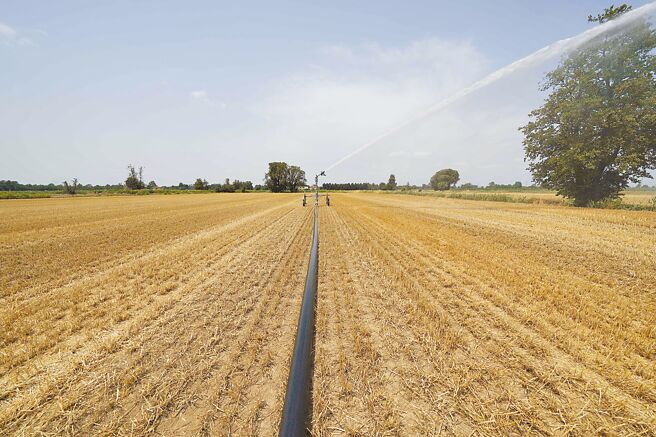 英國強化糧食自給圖╱美聯社