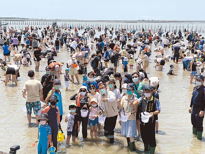台南市长黄伟哲（前排右三）参加七股海鲜节，下水体验挖文蛤与民眾同乐。（台南市观旅局提供／程炳璋台南传真）