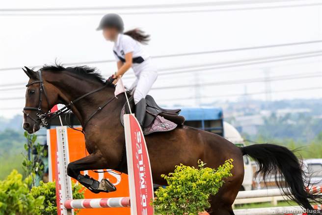 雪路有段時間特別喜歡至大樹馬場運動放鬆。（澳登堡馬術指導中心提供／林瑞益高雄傳真）