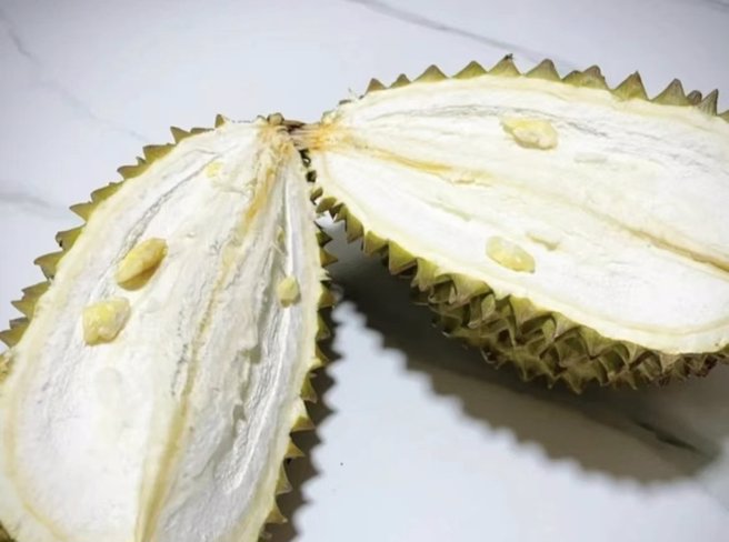 网友剖开榴槤后发现只有5小片，大部分都被肉质假种皮所包覆。（翻摄自爆废公社）