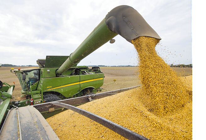 近月来黄豆、玉米、小麦等价格几呈雪崩式下跌。图为美国印第安纳州民眾从联合收割机上卸下大豆。（美联社）