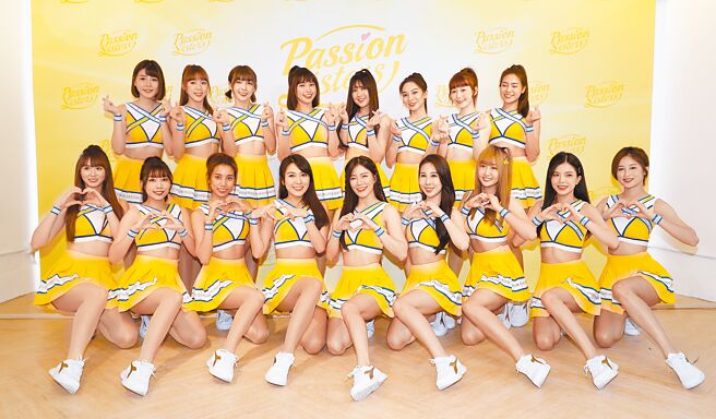 台南刘姓警员涉嫌以公务电脑的警政系统，查询20多名中信兄弟等啦啦队女孩的个资，虽未外泄个资，仍被记2小过惩处，并停止查询权限。图为中信兄弟啦啦队Passion Sisters合影。（本报资料照片）