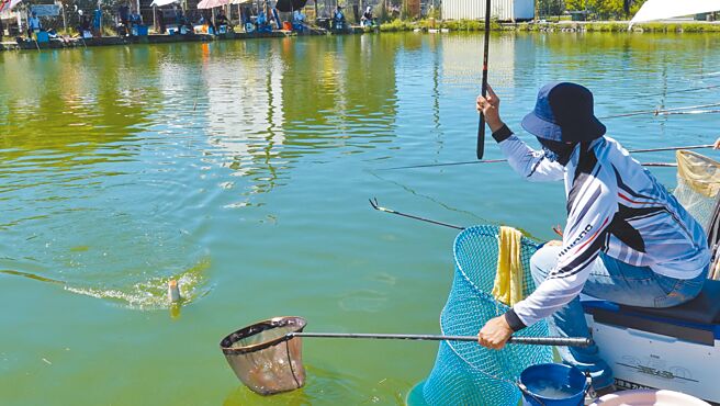 台东县第2届全国公益友谊杯池钓公开邀请赛10日热闹开赛，全台60位神钓手齐聚一堂。（蔡旻妤摄）