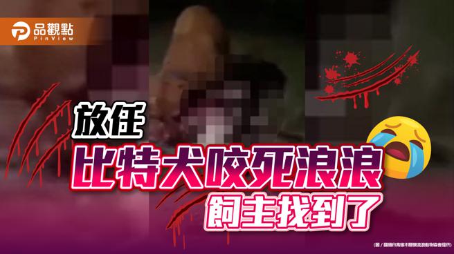 品觀點｜網友拳頭都硬了 放任比特犬咬死浪浪飼主辯不知情 高市府重罰（圖/品觀點提供）