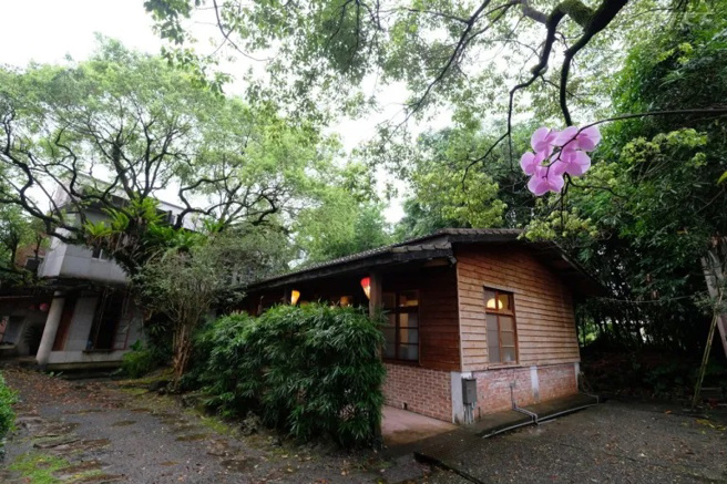 隐藏在大树旁，走进老屋一起森林浴。(图/行遍天下提供)