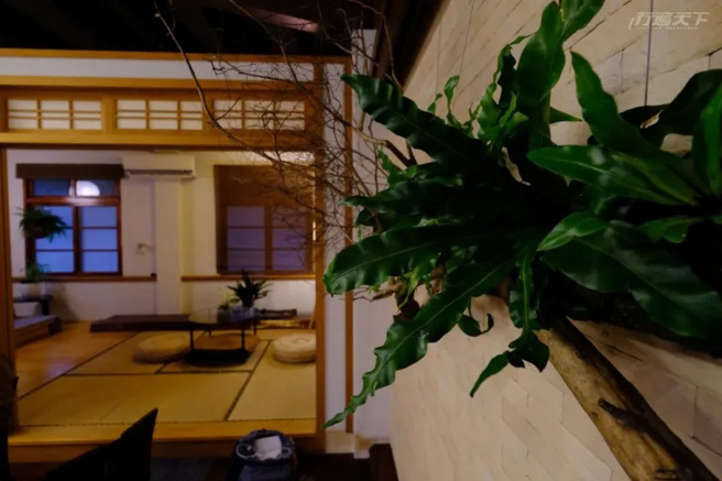 和室一隅与植物共生共融的角落。(图/行遍天下提供)