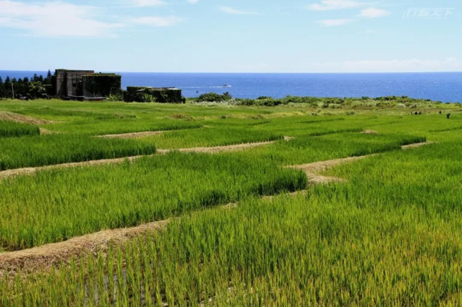 花莲野溪餐桌 石梯坪。(图/行遍天下提供)
