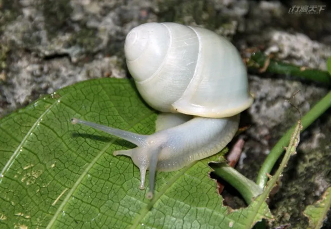 永兴农庄。（图/ 行遍天下）