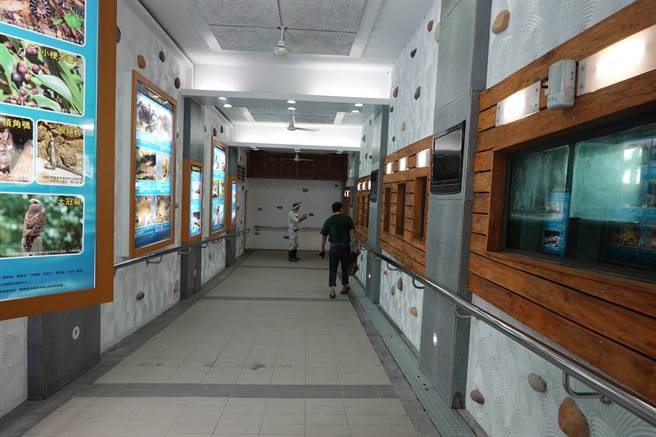 台东池上圳生态鱼道淤积多时，志工们13日联手清淤盼恢復生态。（蔡旻妤摄）