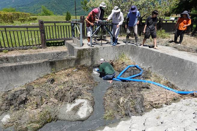 台东池上圳生态鱼道淤积多时，志工们13日联手清淤盼恢復生态。（蔡旻妤摄）