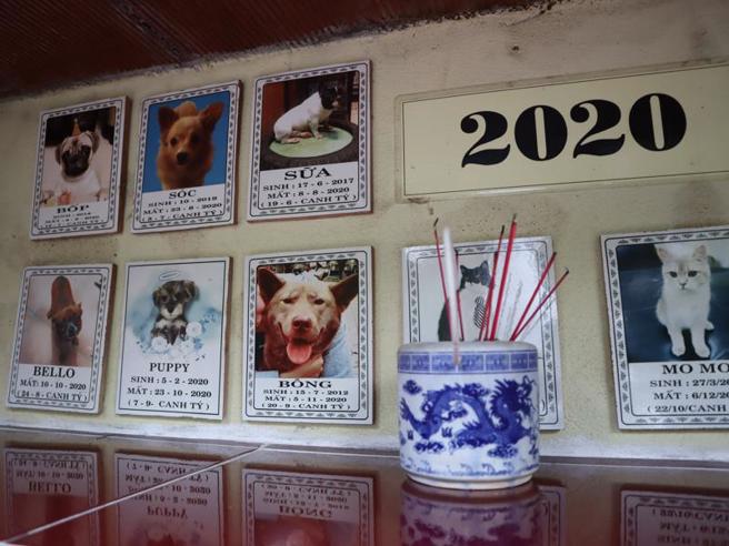 阮宝生的宠物墓园中每块墓碑上都有宠物的照片、名字与生、卒年月日讯息，园内的猫狗名字很少有「菜市场名」，足见主人对宠物用情至深。
（图/ 中央社）