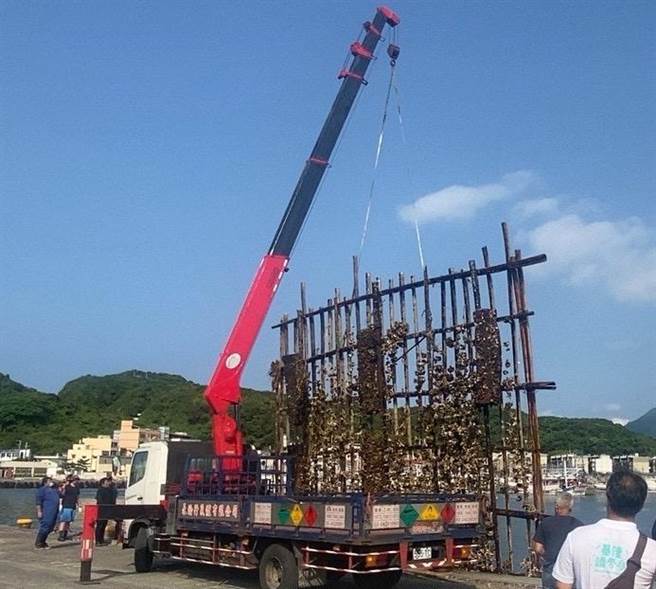 海洋保育署海洋志工今（13）日通報於基隆嶼及八斗子漁港外海發現3座流失蚵棚，工作人員以吊車懸吊蚵棚至岸上。（海保署提供／林瑞益高雄傳真）