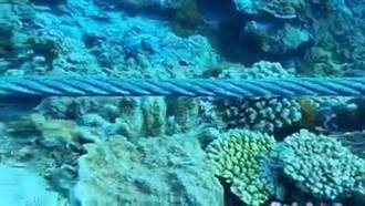 綠島石朗保護區珊瑚礁遭施工破壞 縣府開罰廠商