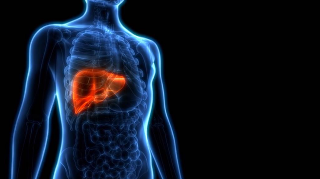 肝指数都正常，若饮食习惯不良，仍有罹癌机率。（示意图／Shutterstock）