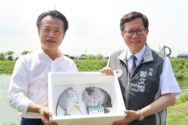 桃園市長鄭文燦今率市府團隊到嘉義縣進行交流活動，一早在嘉義縣長翁章梁陪同一下，先到義竹鄉「台灣寶蝦智能養殖場」參訪。（呂妍庭攝）