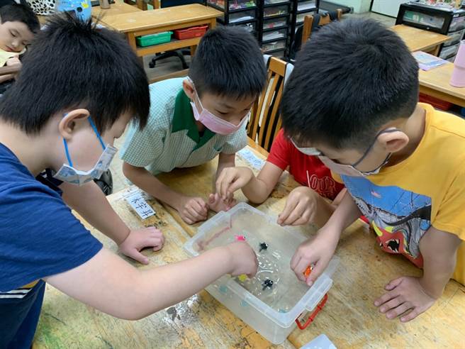 暑期专班让特教学生有个难忘愉快的暑假，图为利用捞鱼游戏训练小肌肉能力。（新北市教育局提供）