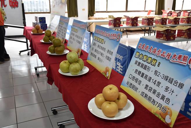 三湾乡高接梨品项非常多。（谢明俊摄）