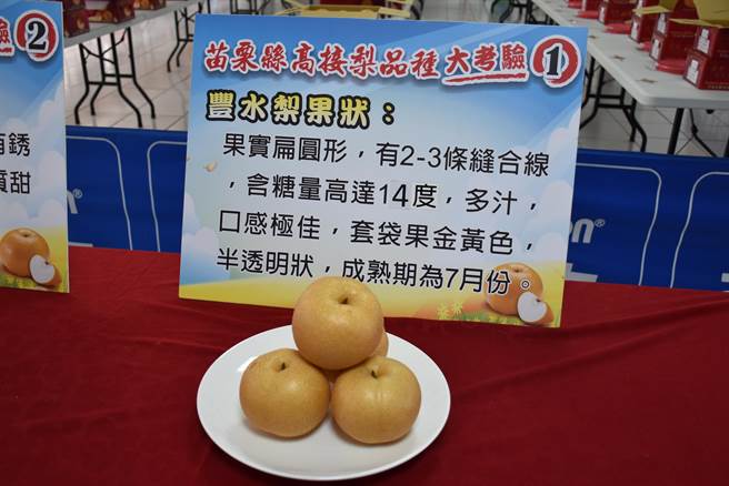 今年丰水梨外形圆润，甜度虽略减，但适合长辈食用。（谢明俊摄）