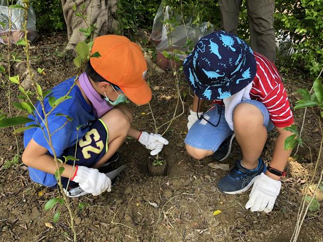 新竹林管处安排海口国小学童共同种下紫斑蝶的食草及蜜源植物。（新竹林管处提供／谢明俊苗栗传真）