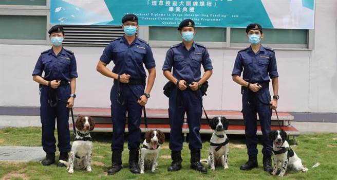 港海關成立首支煙草搜查犬隊派往機場及碼頭等地執勤 兩岸 中時