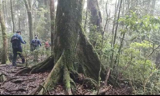 彰化一名粘姓男子独攀马崙山失踪6天，今日上午传出消息已寻获遗体。图为消防队入山搜救画面。（图／台中市消防局提供）